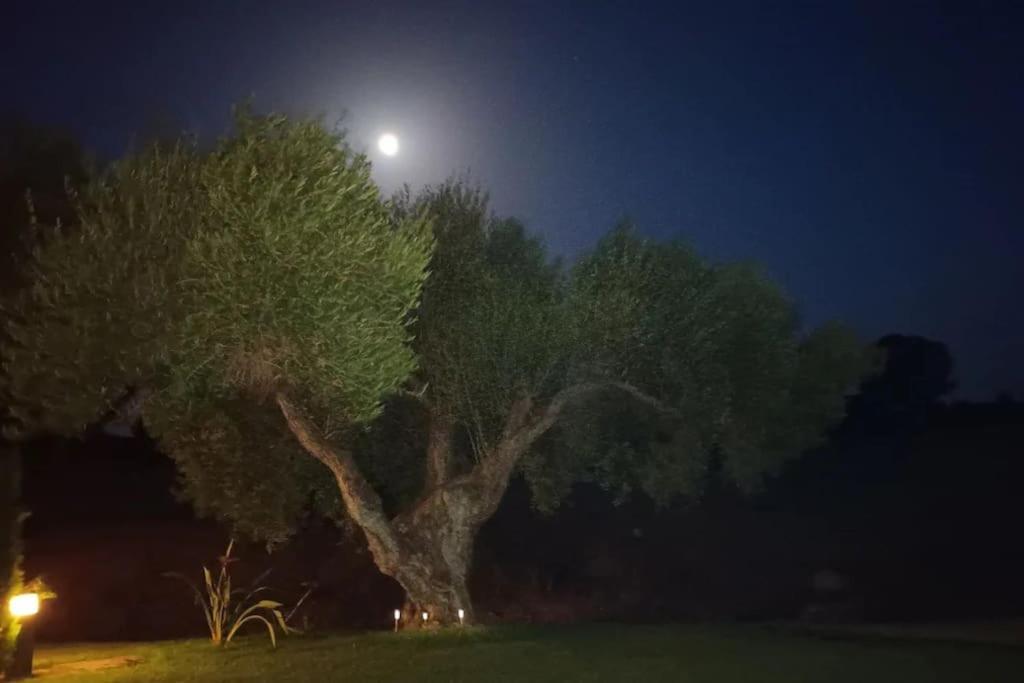 Casa Los Olivos Arcos de la Frontera Bagian luar foto