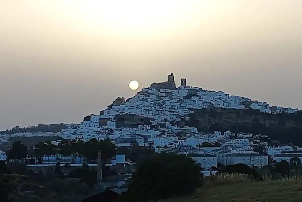 Casa Los Olivos Arcos de la Frontera Bagian luar foto